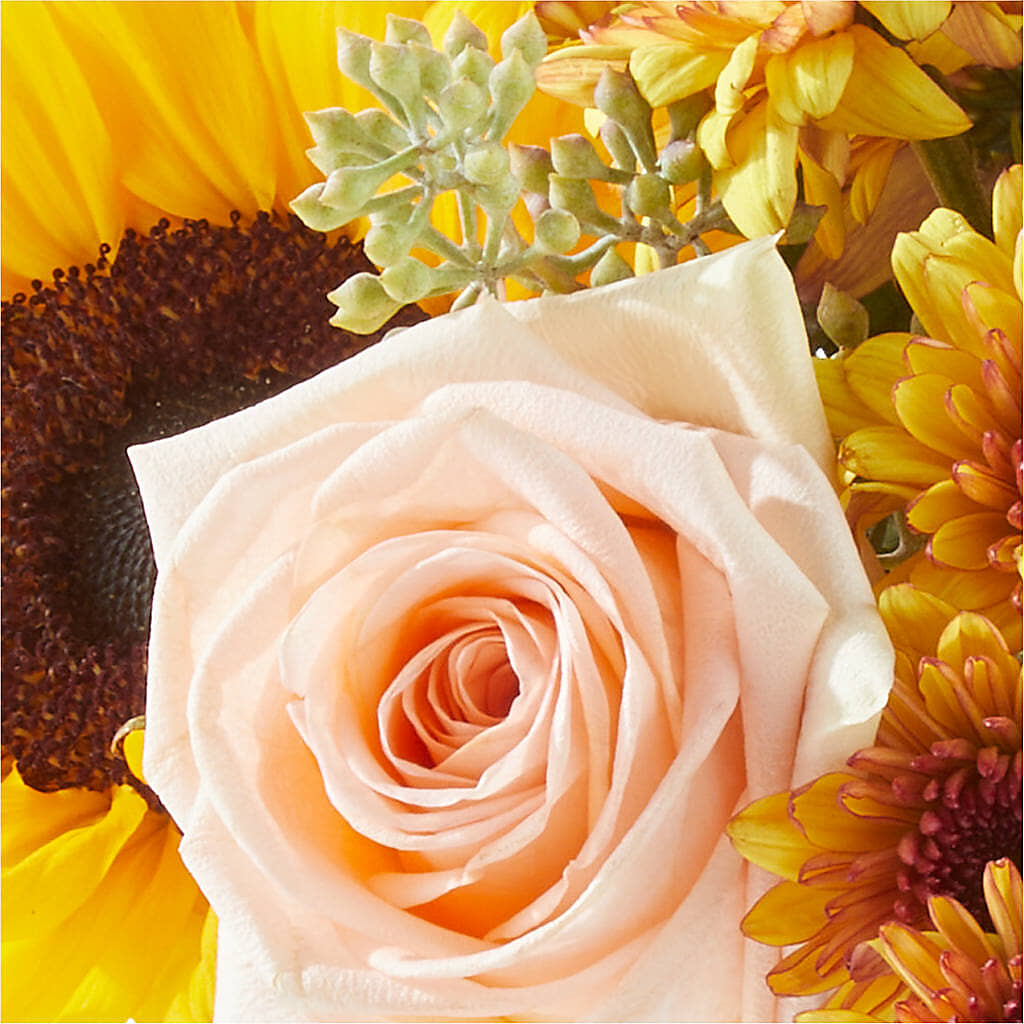 Pumpkin to Talk About Bouquet – CHARLIE'S FLOWERS & GOURMET BASKETS, Rahway NJ