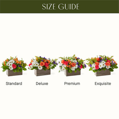 Oopsie Daisy Box Bouquet – CHARLIE'S FLOWERS & GOURMET BASKETS, Rahway NJ