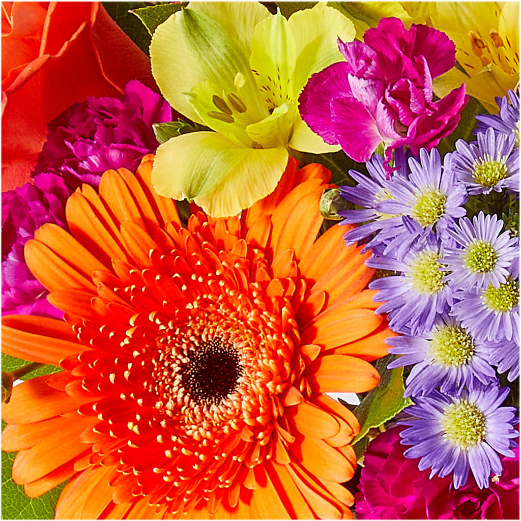 Tricks & Treats Pumpkin – CHARLIE'S FLOWERS & GOURMET BASKETS, Rahway NJ