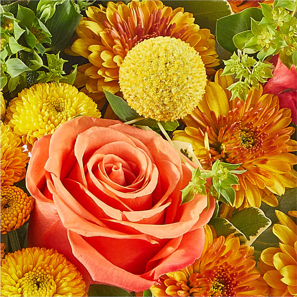 Gourdgeous Pumpkin – CHARLIE'S FLOWERS & GOURMET BASKETS, Rahway NJ