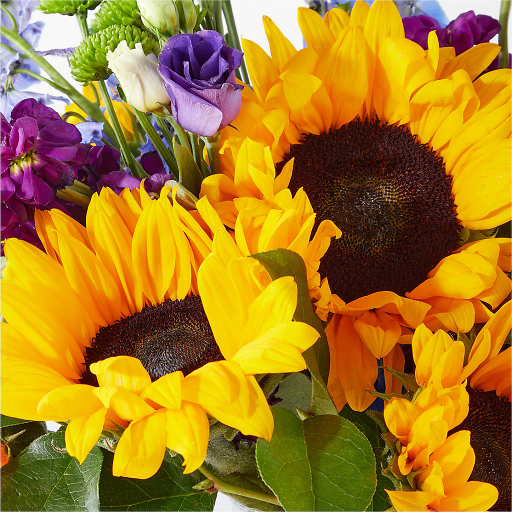 Catching Rays Bouquet – CHARLIE'S FLOWERS & GOURMET BASKETS, Rahway NJ
