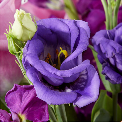Twilight Glow Bouquet – CHARLIE'S FLOWERS & GOURMET BASKETS, Rahway NJ
