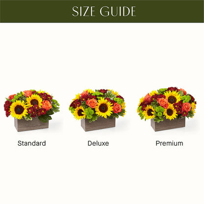 Happy Harvest Garden – CHARLIE'S FLOWERS & GOURMET BASKETS, Rahway NJ