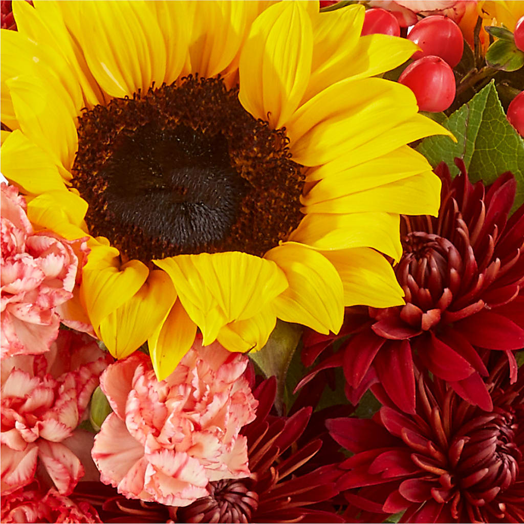 Fresh Cider Bouquet – CHARLIE'S FLOWERS & GOURMET BASKETS, Rahway NJ
