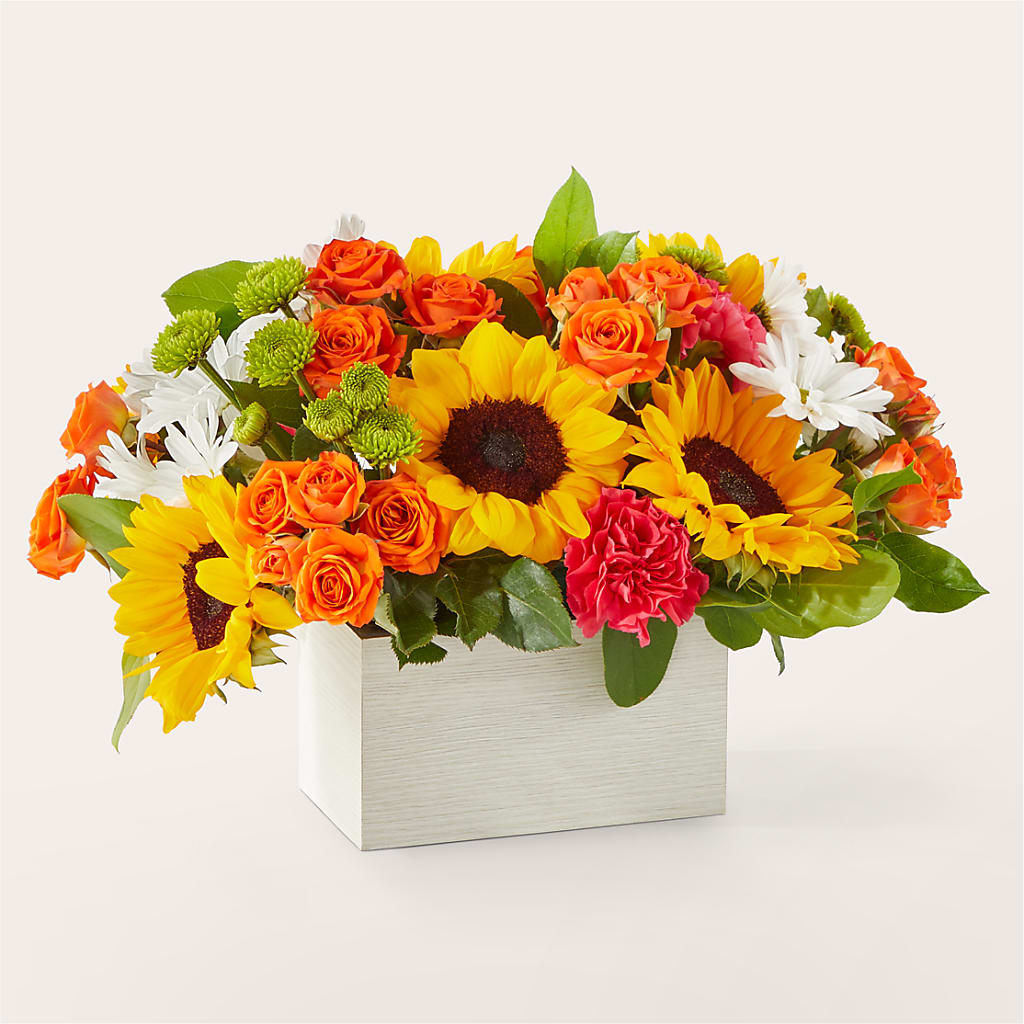 Sun-drenched Blooms Box Bouquet – CHARLIE'S FLOWERS & GOURMET BASKETS, Rahway NJ