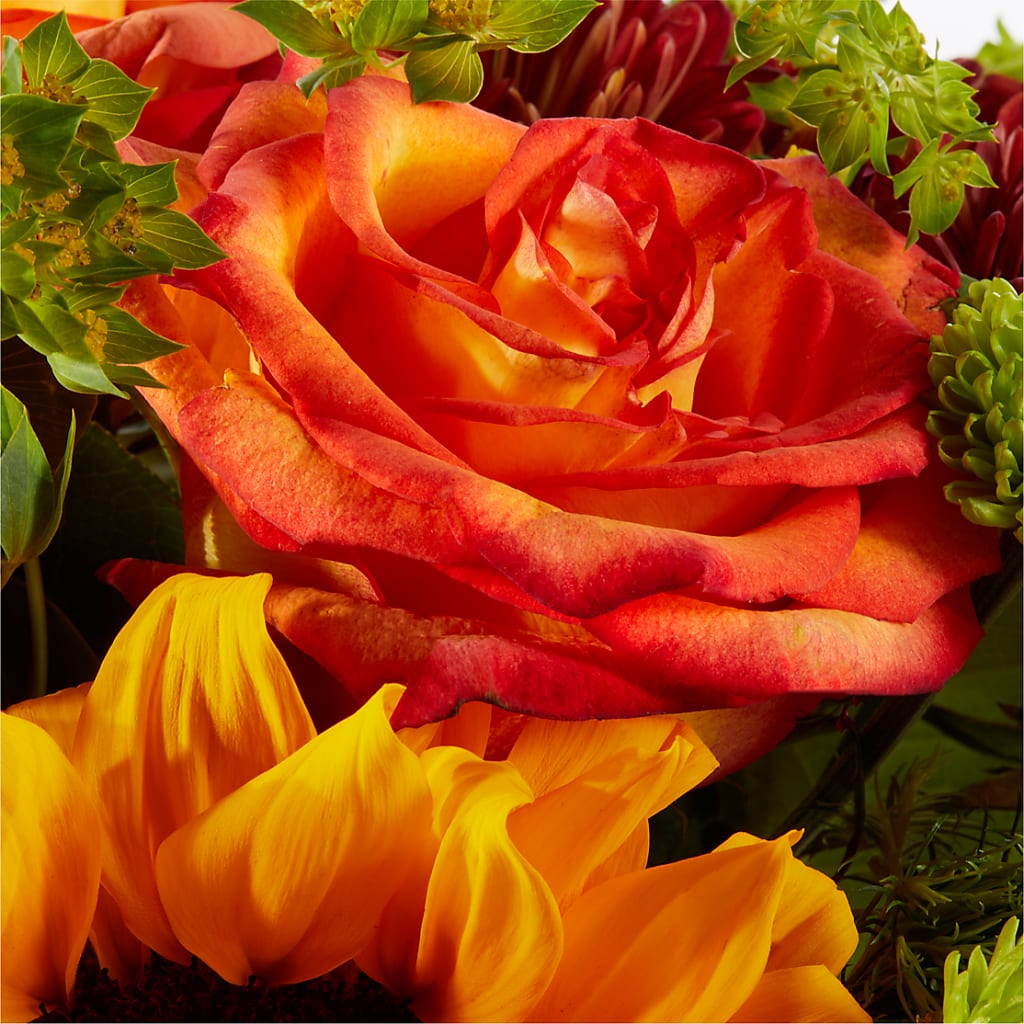 Harvest Festival Bouquet – CHARLIE'S FLOWERS & GOURMET BASKETS, Rahway NJ
