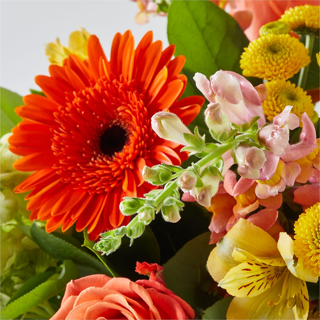 Autumn Sunshine Bouquet – CHARLIE'S FLOWERS & GOURMET BASKETS, Rahway NJ
