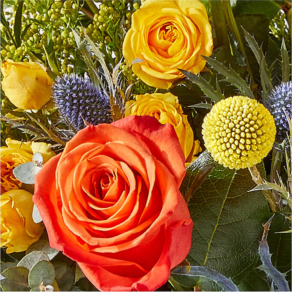 Disco Bouquet – CHARLIE'S FLOWERS & GOURMET BASKETS, Rahway NJ